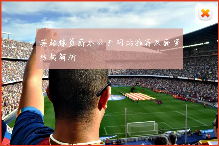 英超球员薪水公开网站推荐及薪资结构解析