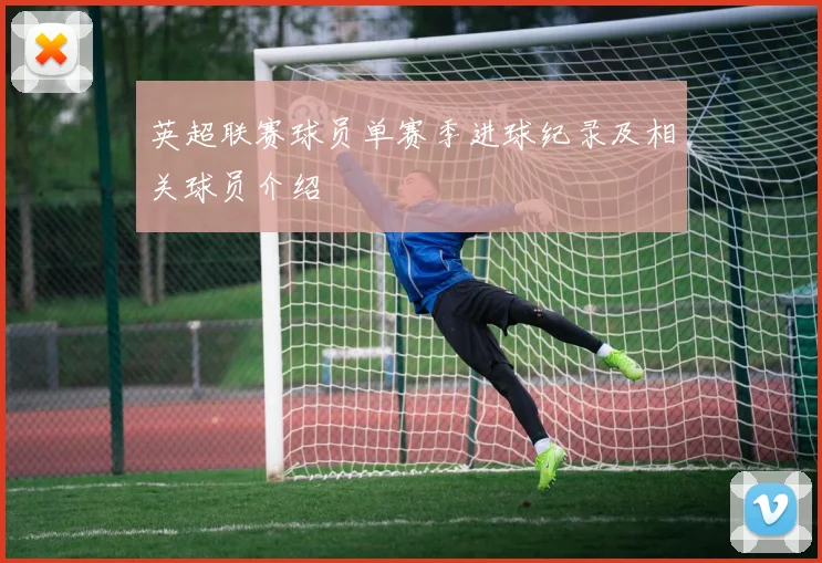 英超联赛球员单赛季进球纪录及相关球员介绍